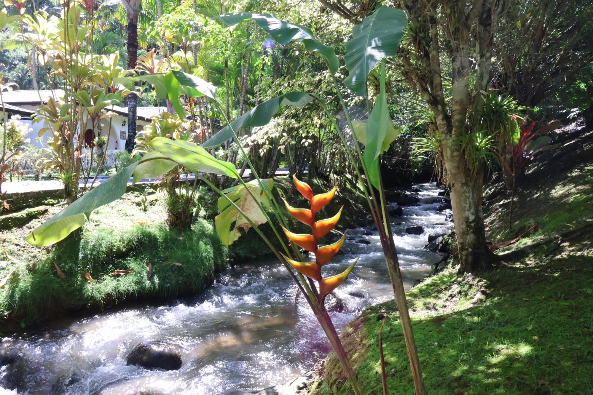Rio Perlas Thermal Resort & Spa Cartago Ngoại thất bức ảnh
